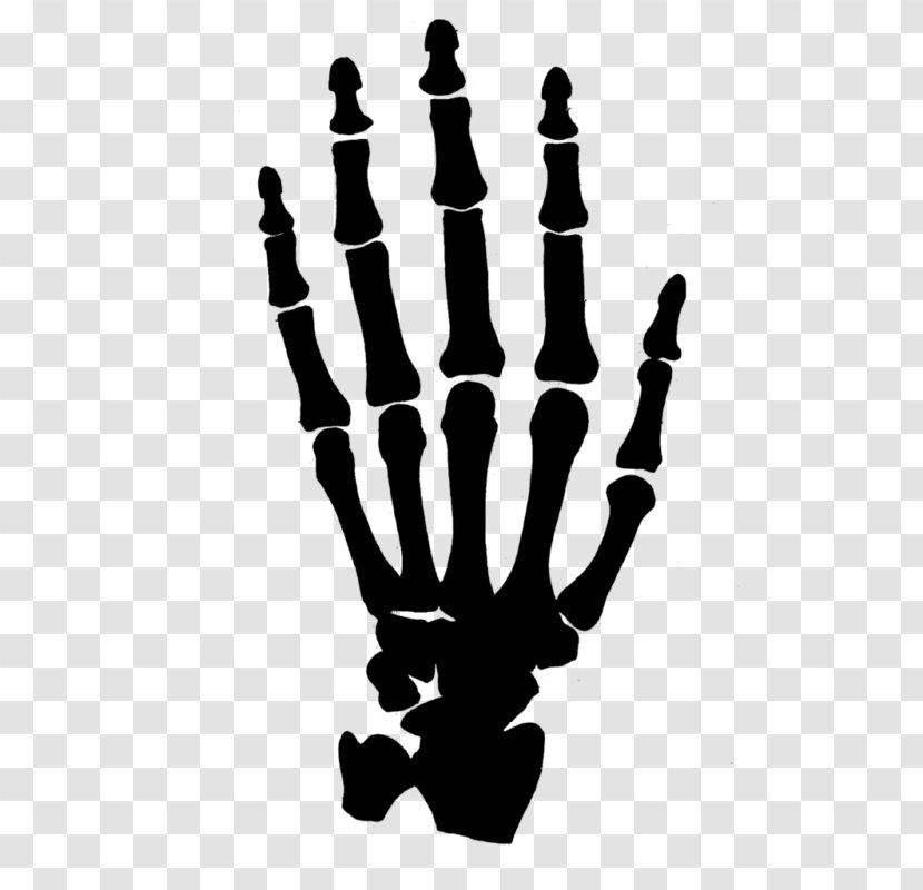 Human Skeleton Carpal Bones Hand Clip Art Transparent PNG