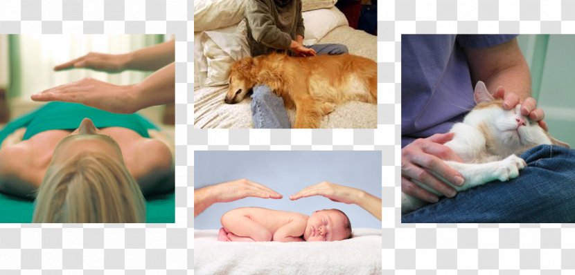Finger Dog Carnivores Canine Massage Product - Silhouette Transparent PNG