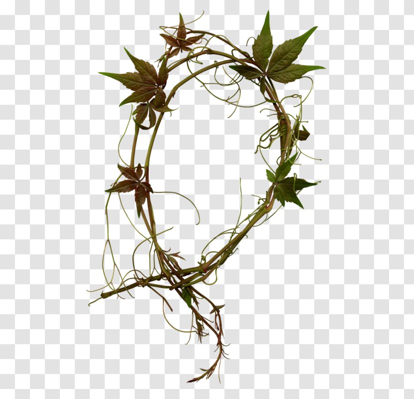 Twig Plant Stem Flowerpot Leaf - Tree Transparent PNG