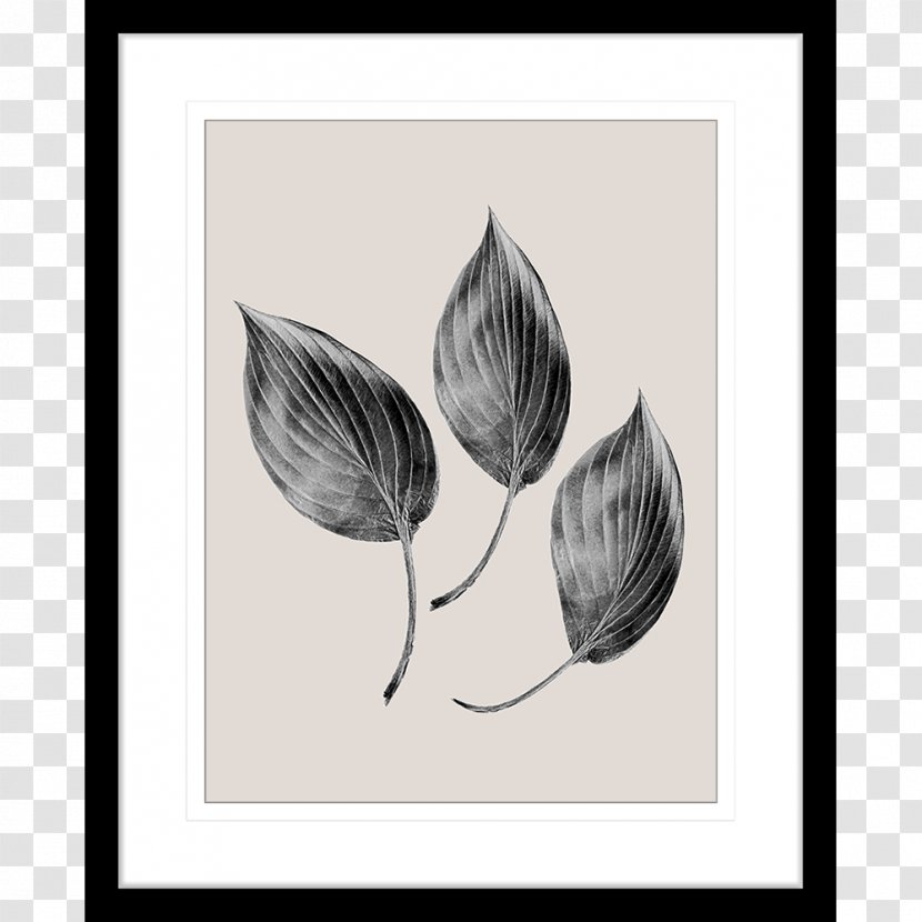 Drawing Petal Visual Arts - Plant - Leaf Watercolor Painting Transparent PNG