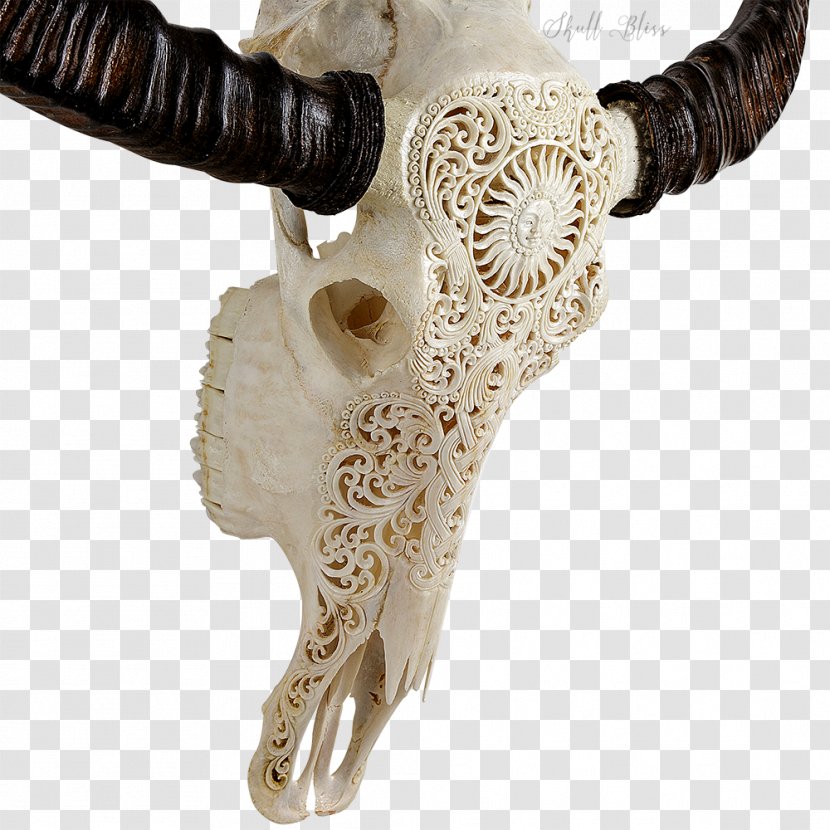 Horn Animal Skulls Bone Cattle - Carving - Buffalo Skull Transparent PNG