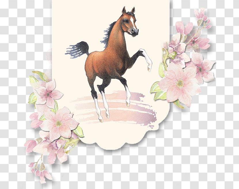 Mustang American Miniature Horse Stallion Mare Foal - Mane Transparent PNG