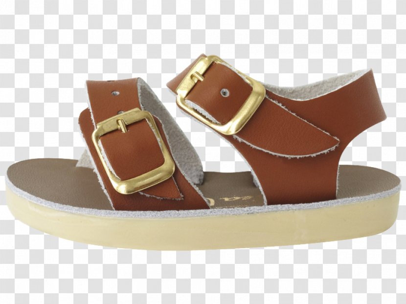 Saltwater Sandals Shoe Footwear Leather - Buckle - Sandal Transparent PNG