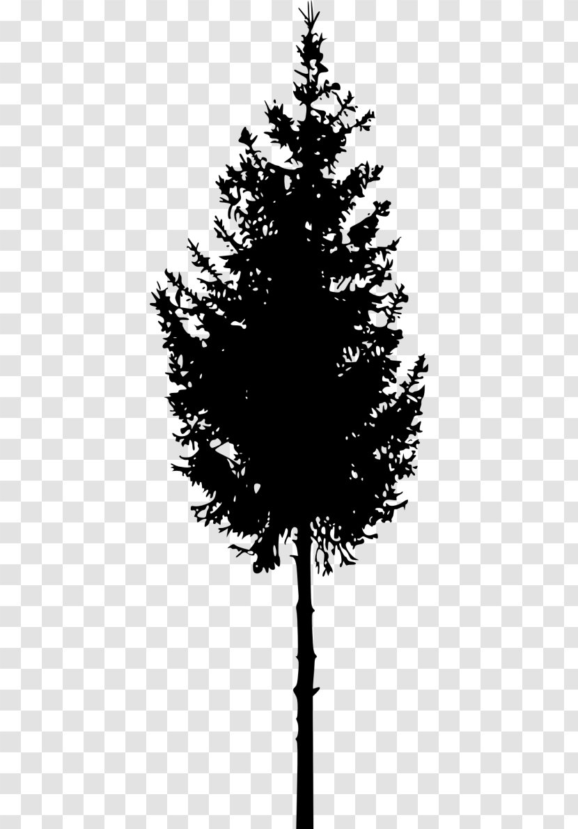 Clip Art Silhouette Vector Graphics Tree - Blackandwhite - Australian Transparent PNG