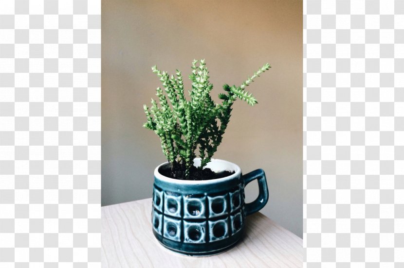 Flowerpot Ceramic Herb Houseplant - Design Transparent PNG