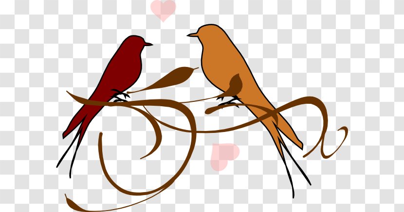 Lovebird Clip Art - Flower - Bird Transparent PNG