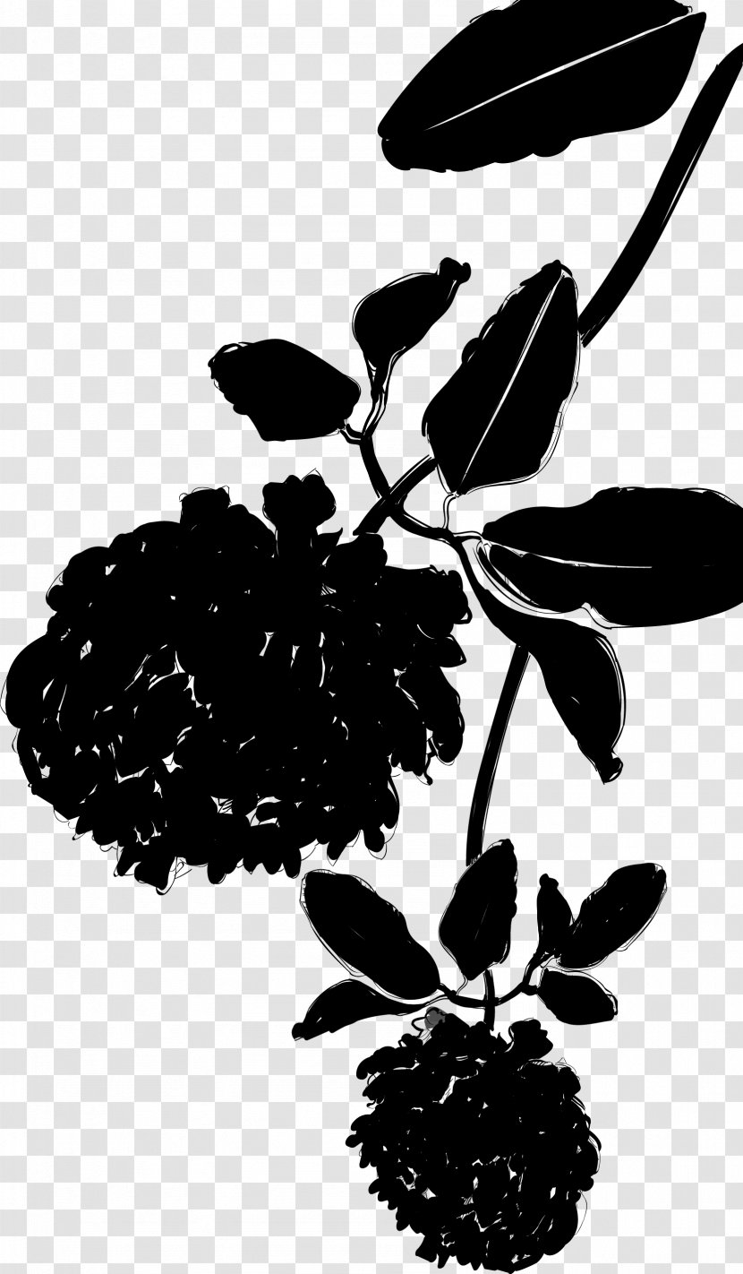 Black & White - Plant Stem - M Flower Leaf Silhouette Transparent PNG