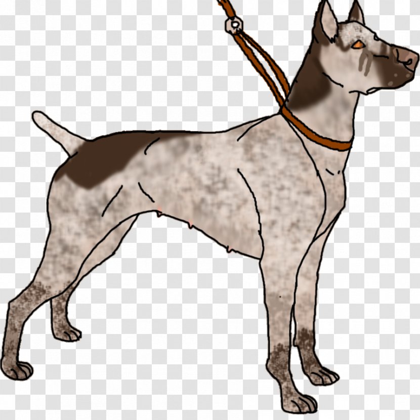 Dog Breed Great Dane Jack Russell Terrier German Shepherd Border Collie - Pet - Cat Transparent PNG