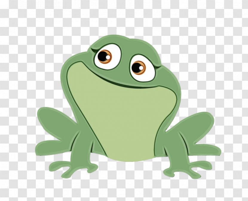 Frog Green True Hyla Cartoon - Toad Tree Transparent PNG