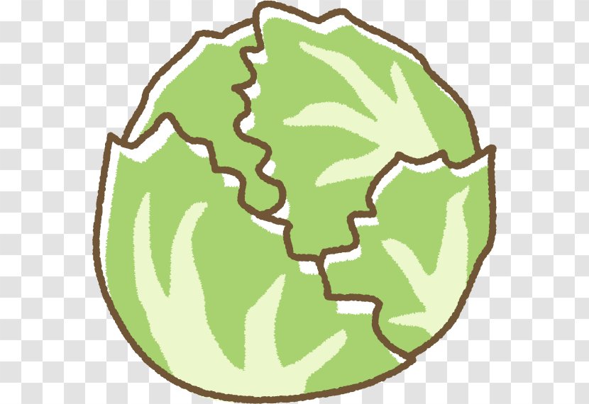 Clip Art Illustration Lettuce Produce Vegetable - Photo Frame Transparent PNG