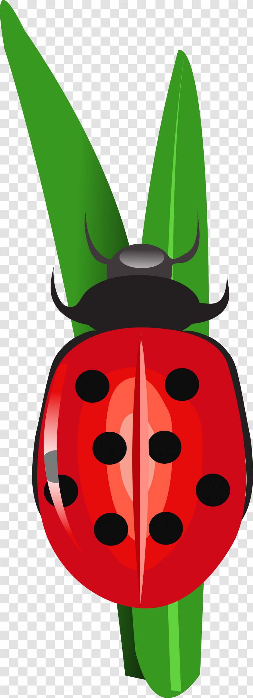 Insect Coccinella Volkswagen Beetle - Leaf - Longhorn Transparent PNG