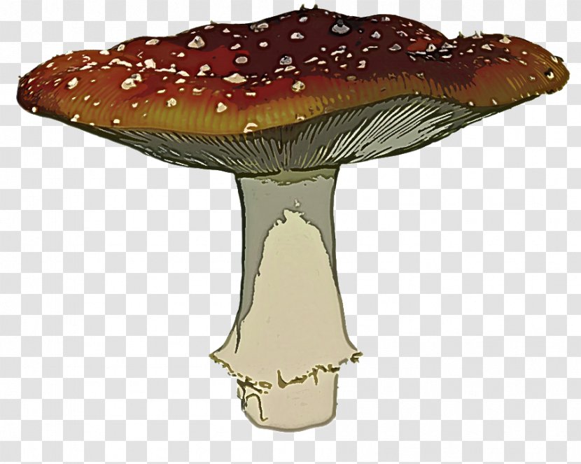 Agaric Mushroom Medicinal Fungus Agaricomycetes - Russula Integra Agaricaceae Transparent PNG