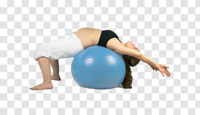 Exercise Balls Pilates Medicine - Balance - Fitness Program Transparent PNG