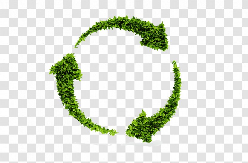 Sustainable Development Sustainability Life-cycle Assessment Recycling Economic - Symbol - Organic Trash Transparent PNG