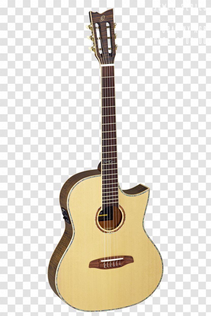 Classical Guitar Steel-string Acoustic Acoustic-electric Musical Instruments - Watercolor - Amancio Ortega Transparent PNG