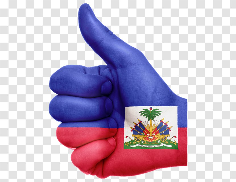 Flag Of Haiti Haitians National - Organism Transparent PNG