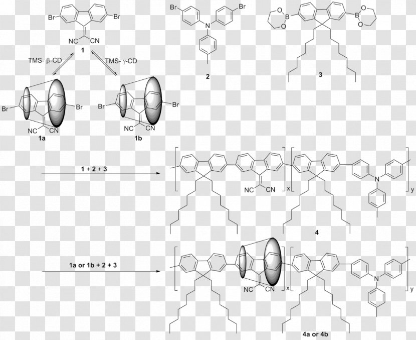 /m/02csf Line Art Drawing Organism - Heart - Cartoon Transparent PNG