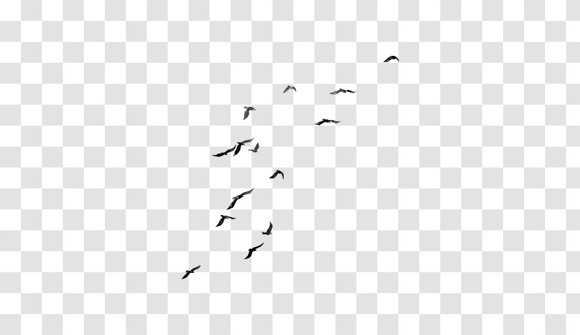 Flock Bird Migration Beak Font - Black And White - Tree Birds Transparent PNG