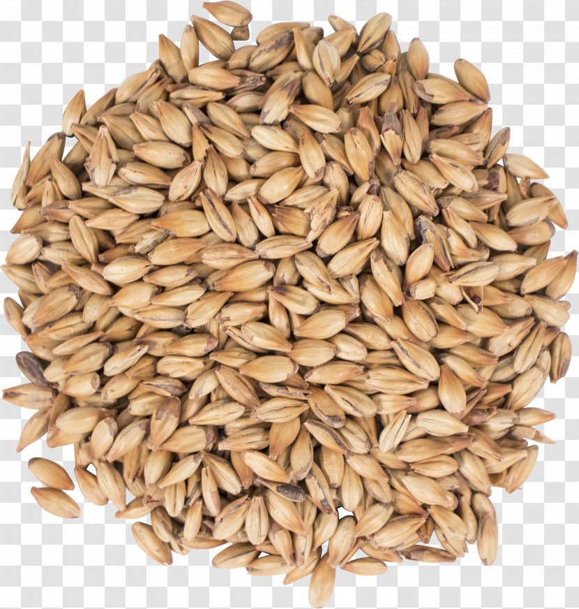 Oat Beer Cereal Malt Spelt - Grass Family Transparent PNG