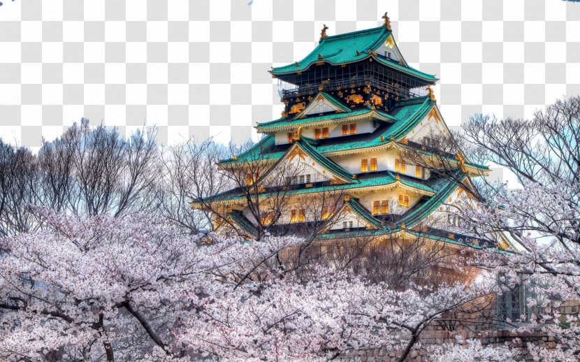 Osaka Castle Himeji Namba Du014dtonbori Chxe2teau Miranda - Flower - City Transparent PNG