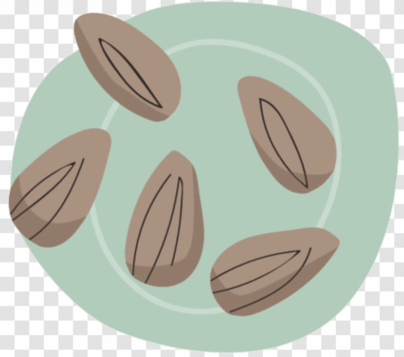 Illustration Almond Download Euclidean Vector Photography - Stock - Meal Transparent PNG