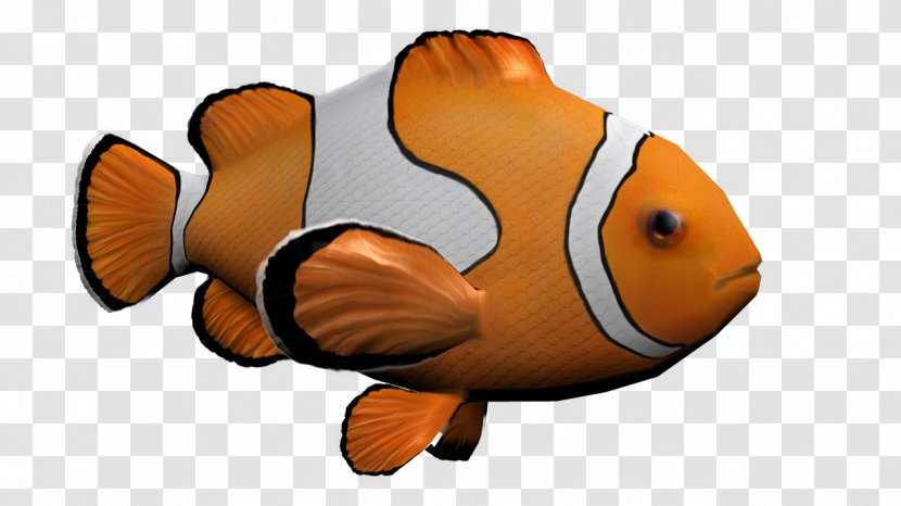 House Of Science Computer Graphics Clip Art - Tail - Nemo Transparent PNG