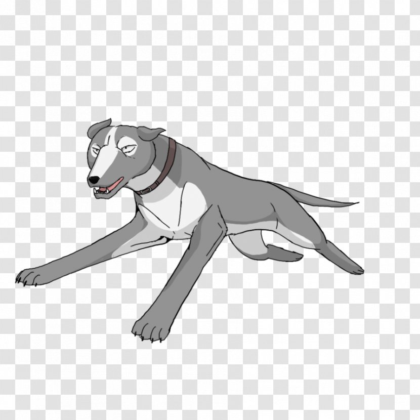 Dog Canidae Snout Sporting Goods - Character Transparent PNG