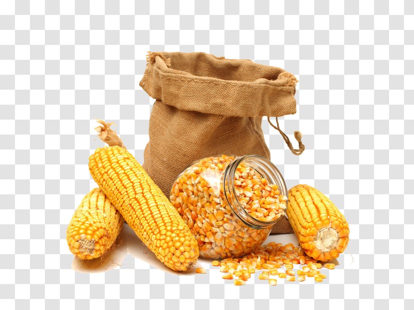 Maize Corn On The Cob Sweet Kernel Grain - Vegetarian Food - Golden Transparent PNG
