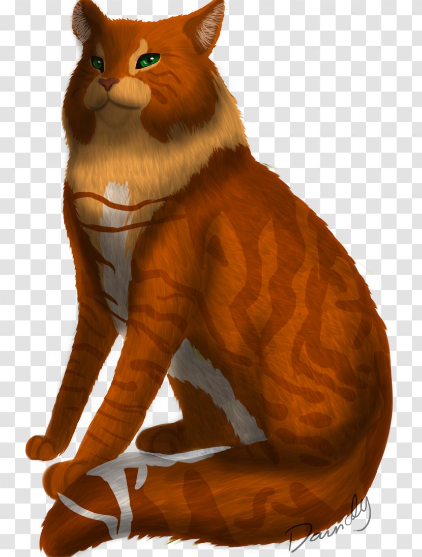 Whiskers Cat Red Fox Fur Paw Transparent PNG