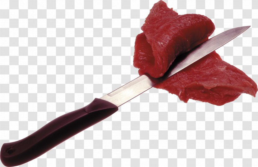Meat And Knife Picture - Parrot - Wing Transparent PNG