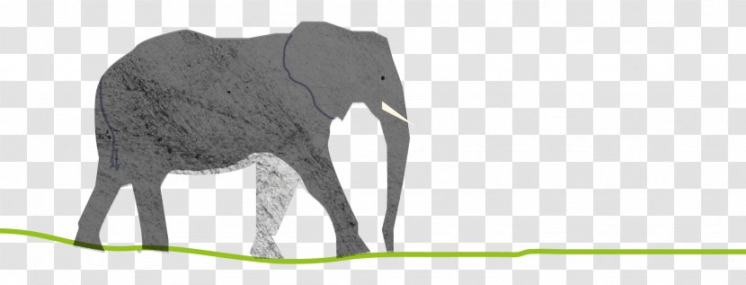 Indian Elephant African Crushing Animal - Mammal Transparent PNG