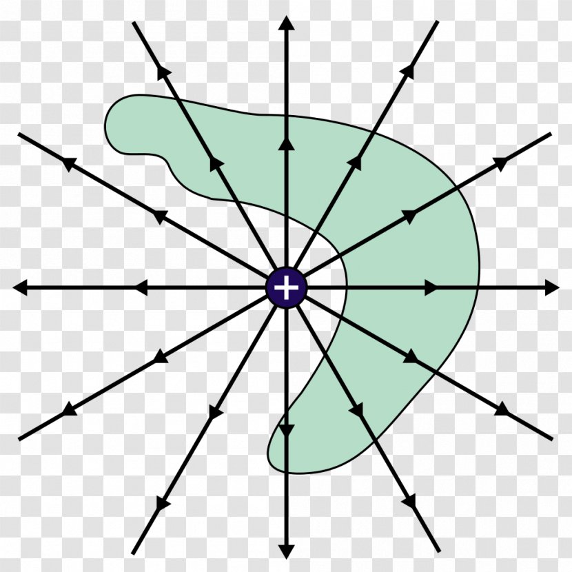 Gauss's Law Electric Charge Physicist Field Flux - Symmetry - Lawyer Transparent PNG