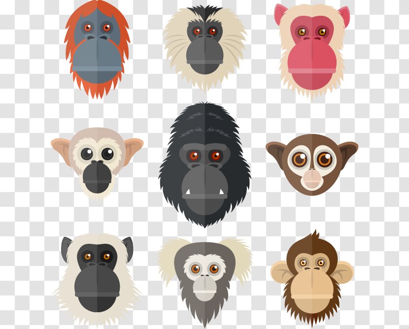 Primate Lemur Gorilla Orangutan - If We - Hand-painted Animal Picture Element Transparent PNG
