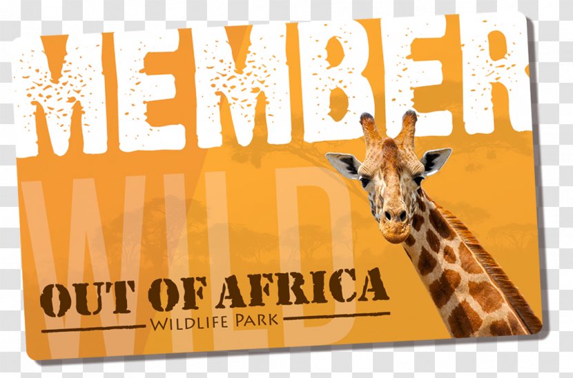 Giraffe Zoo Font Brand Printing Transparent PNG
