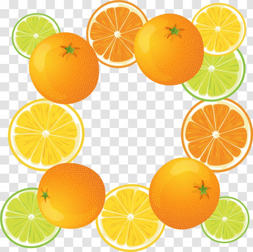 Clementine Rangpur Lime Lemon Tangerine - Citrus - Vector Painted Transparent PNG