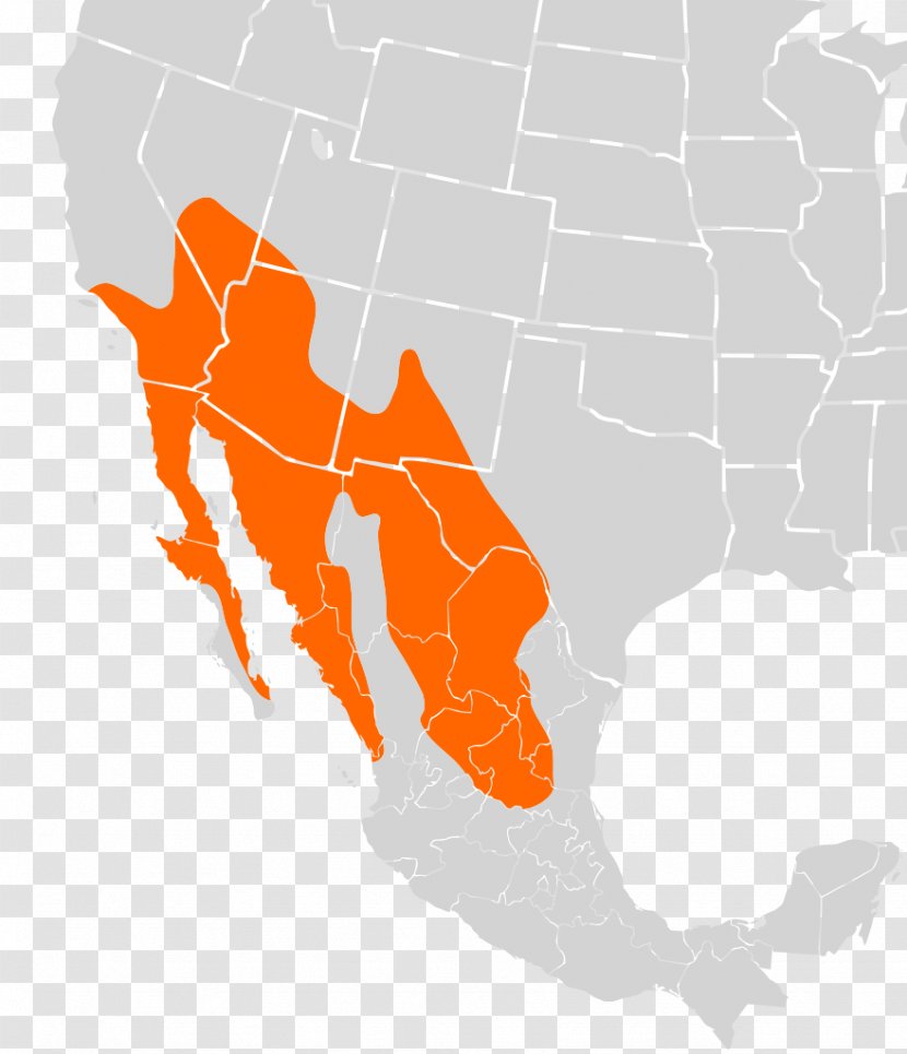 Ouachita Mountains Ozark National Scenic Riverways Arkansas Cactus Mouse - Distribution Transparent PNG