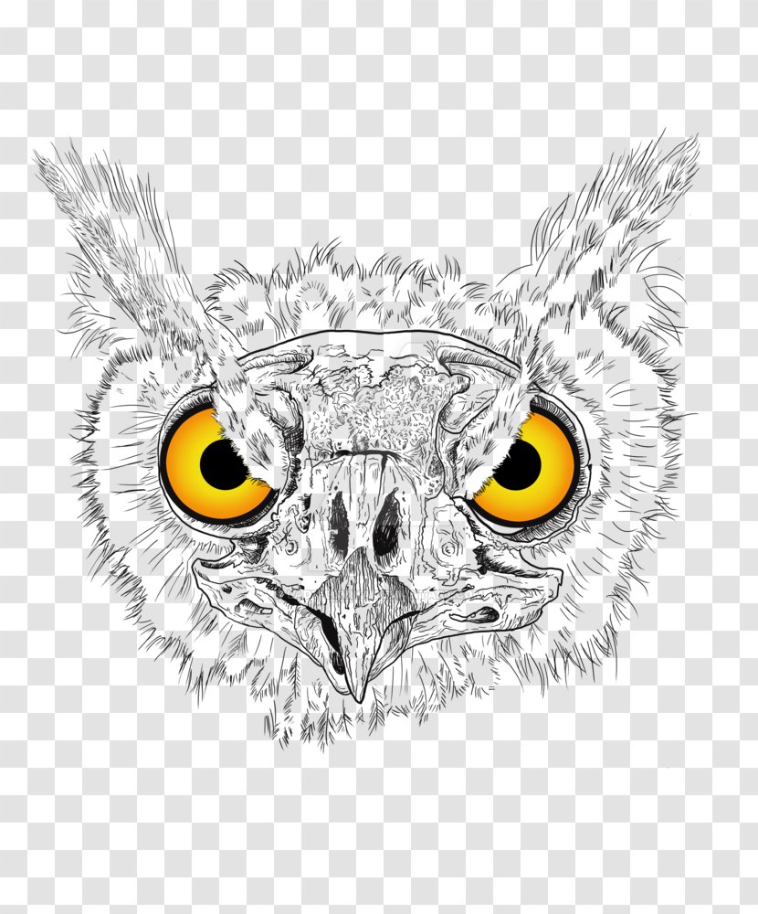 Owl Beak Eagle Cartoon Transparent PNG