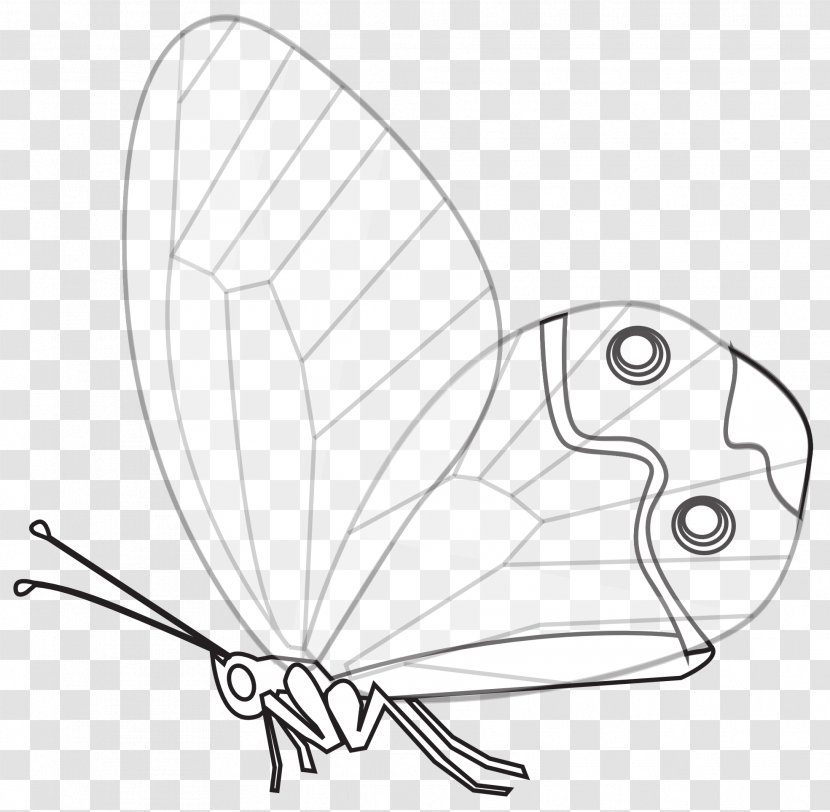 Papillon Dog Butterfly Line Art Black And White Drawing Transparent PNG
