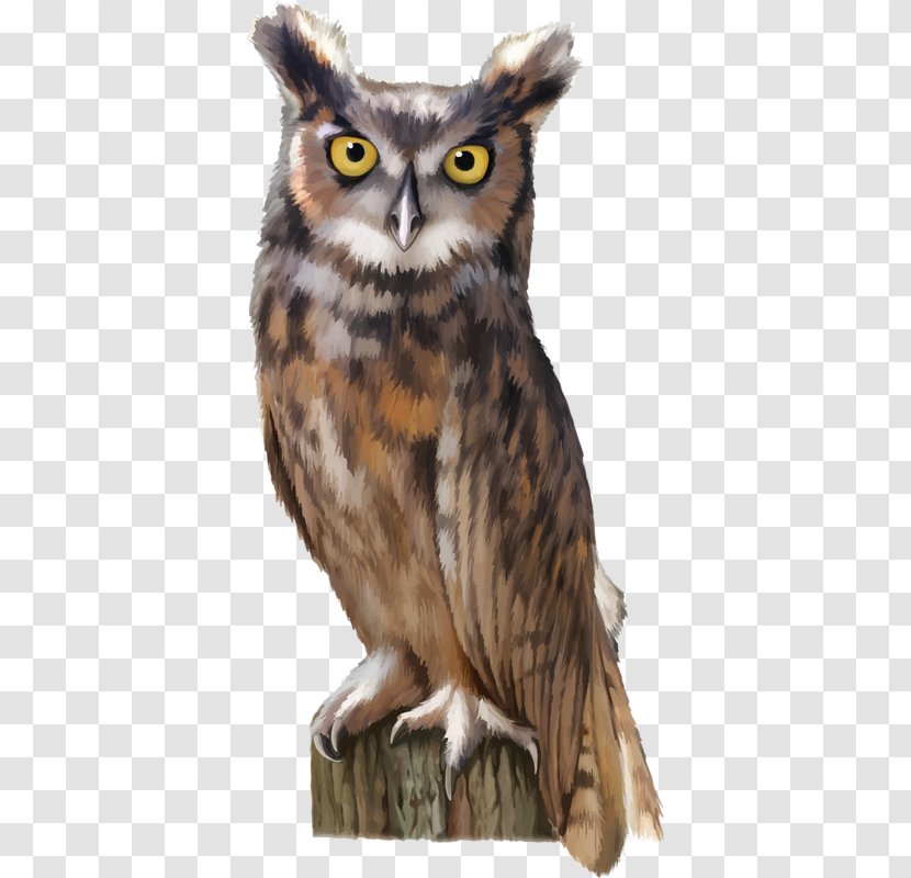 Owl Royalty-free Stock Photography Clip Art - Great Grey - Scary Transparent PNG