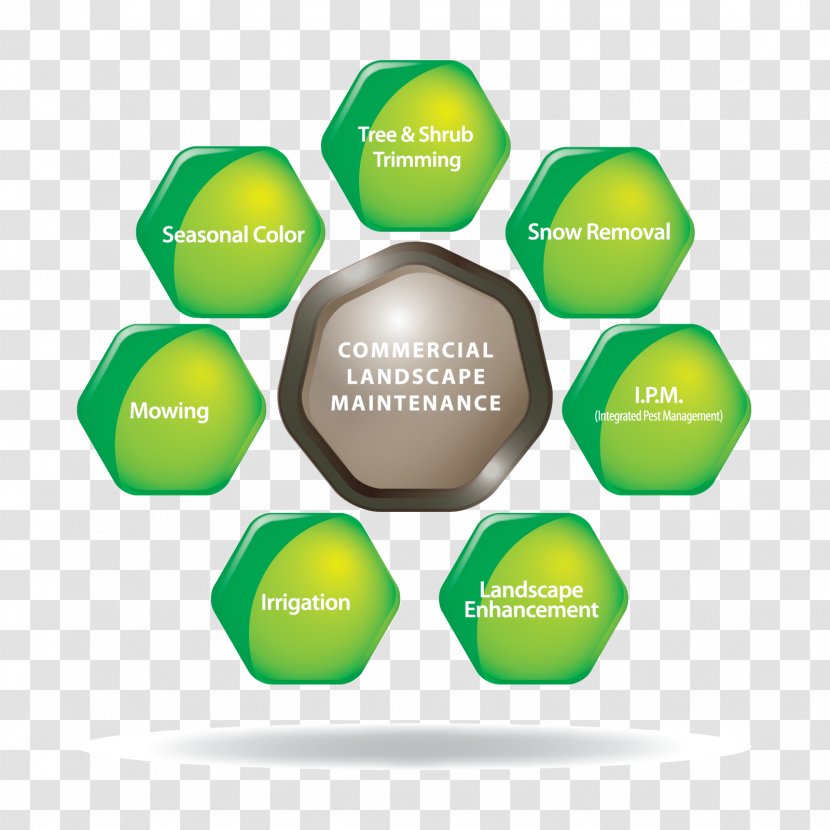 Landscaping Horticulture Landscape Maintenance Manager Safety Data Sheet - Service - Brand Transparent PNG