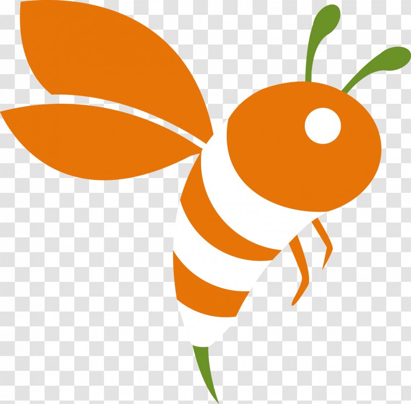 Beehive Apiary Honey Apiarios Zunuba - Membrane Winged Insect - Bee Transparent PNG