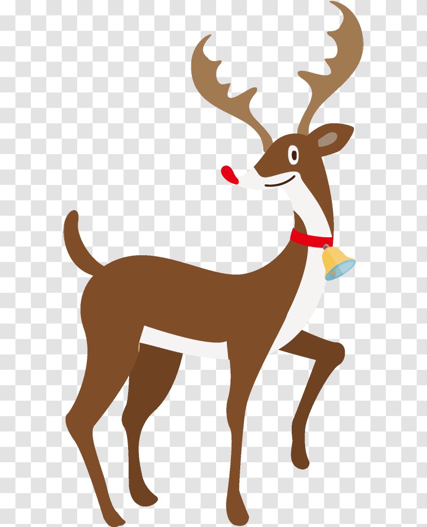 Reindeer Christmas - Roe Deer - Fawn Transparent PNG