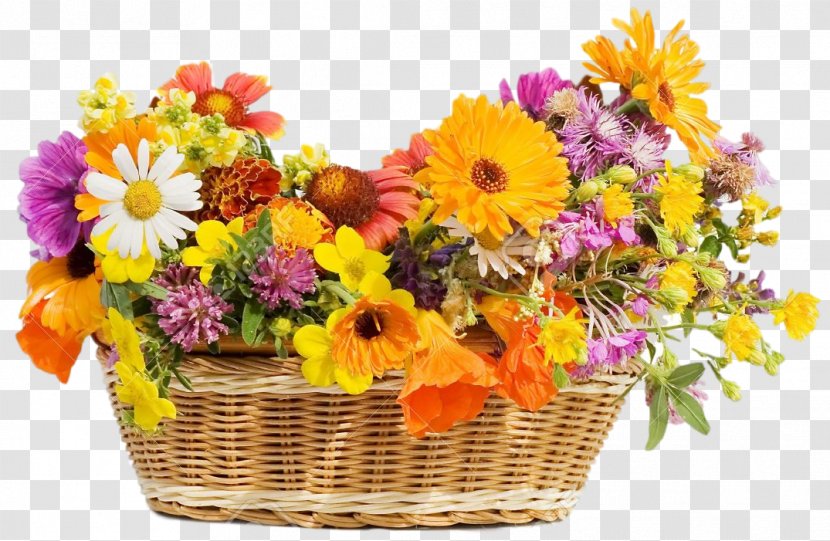 Stock Photography Flower Basket Royalty-free - Flowerpot Transparent PNG