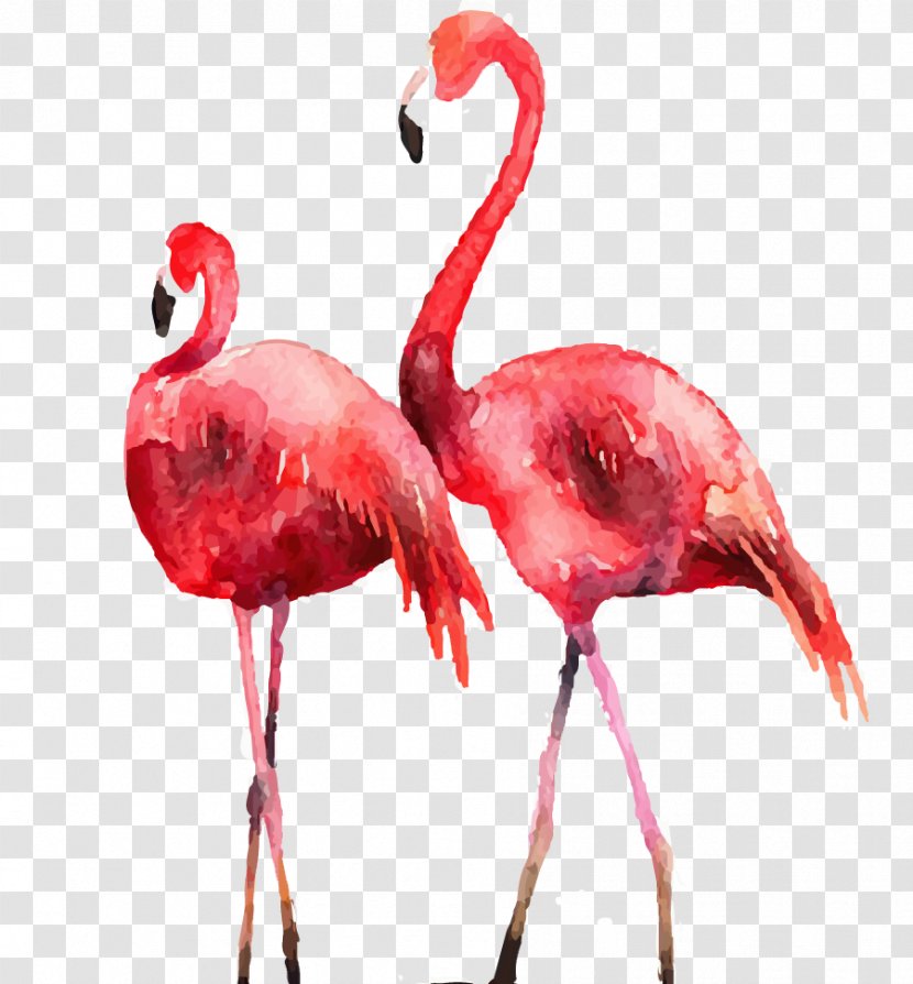 Flamingo Poster Printmaking Illustration - Flamingos - Drawing Transparent PNG