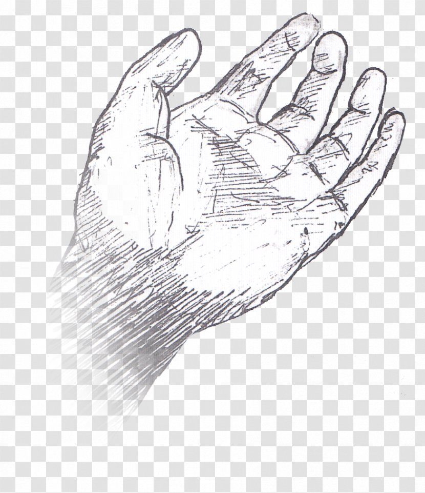 Thumb Hand Model Line Art Sketch - Joint - Design Transparent PNG