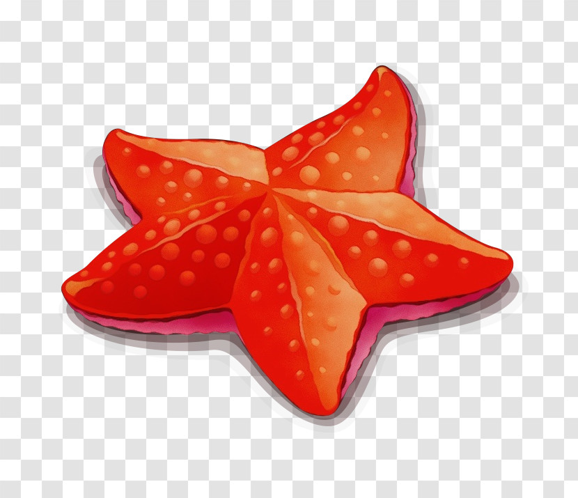 Starfish Transparent PNG