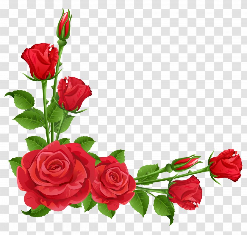 Flower Garden Perennial Plant Pixabay - Rose - Red Roses Transparent Clipart Transparent PNG