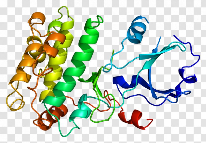 Ca2+/calmodulin-dependent Protein Kinase Gene - Threonine Transparent PNG