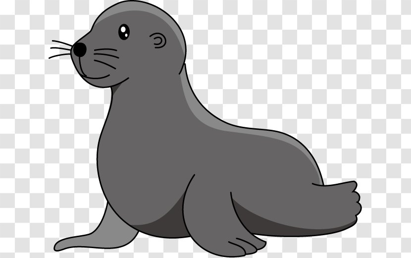 Baby Sea Lion Elephant Seal Clip Art - Dog Like Mammal - Harbor Transparent PNG
