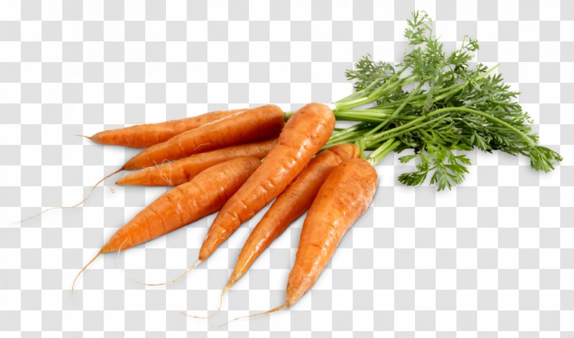 Baby Carrot Food Eating Vitamin A Transparent PNG